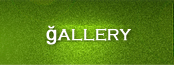 White Sands Beach Villas, St. Lawrence Gap, 